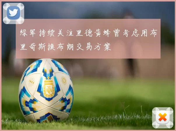 绿军持续关注里德黄蜂曾考虑用布里奇斯换布朗交易方案